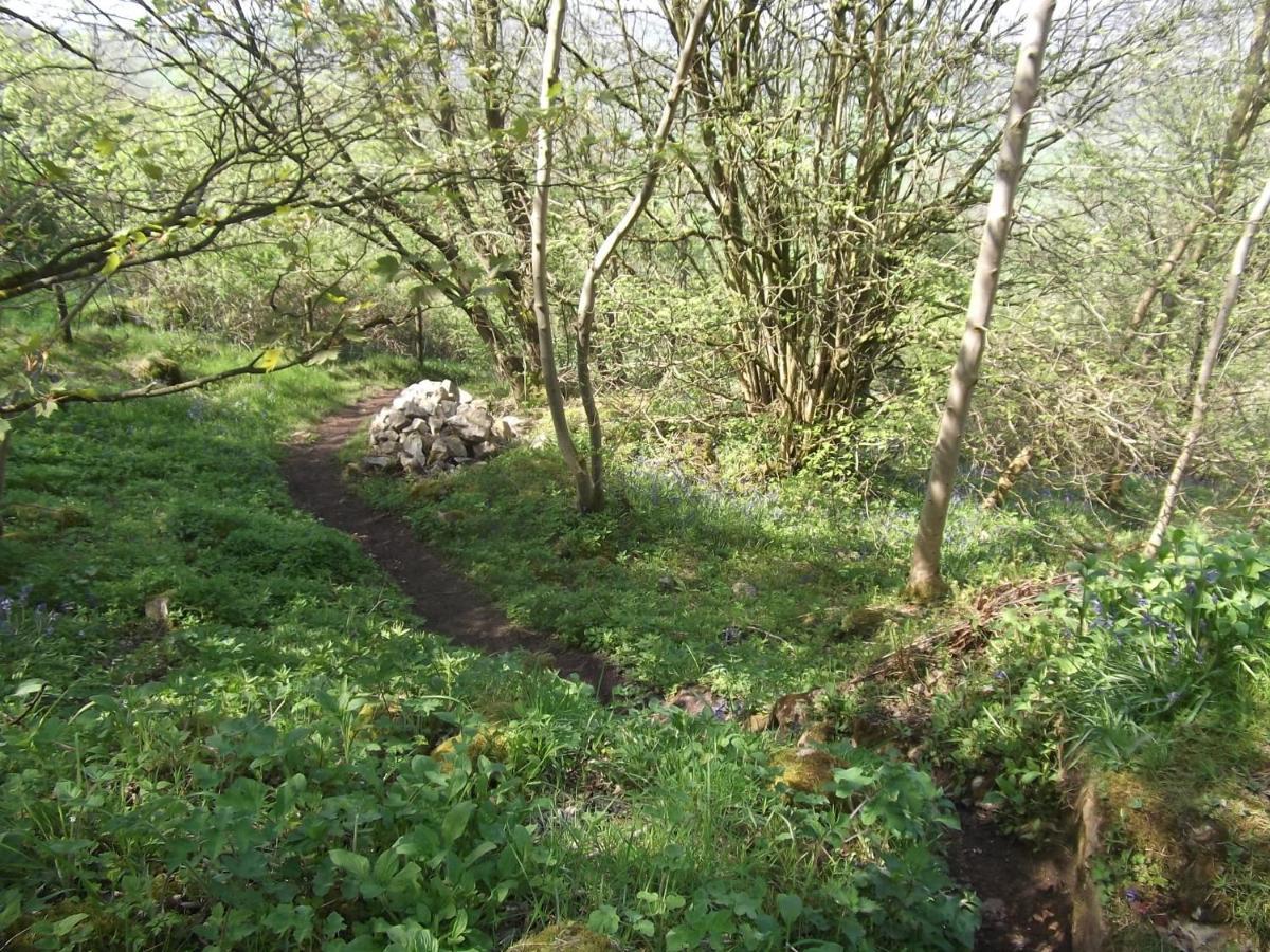 Hall Dale View Near Matlock & Peak District Exteriör bild